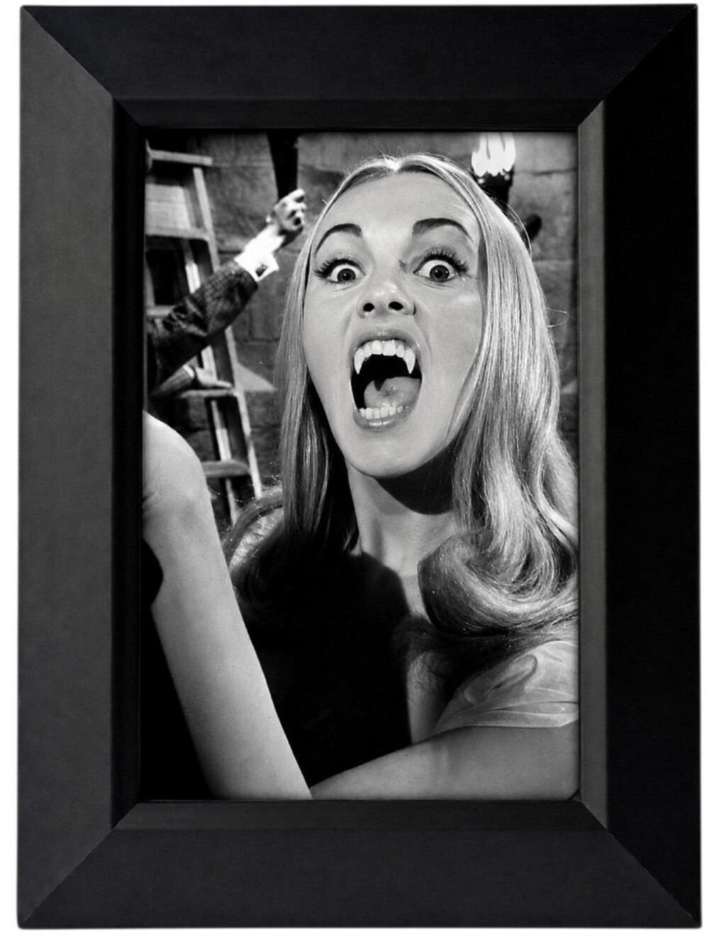 Kirsten Lindholm The Vampire Lovers Horror Gothic Vampire Goth Rerro Vintage Art